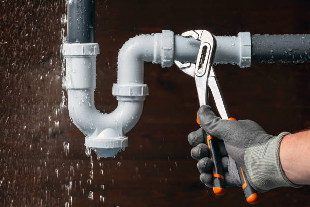 Professional Plumbing technician working in Guy, AR